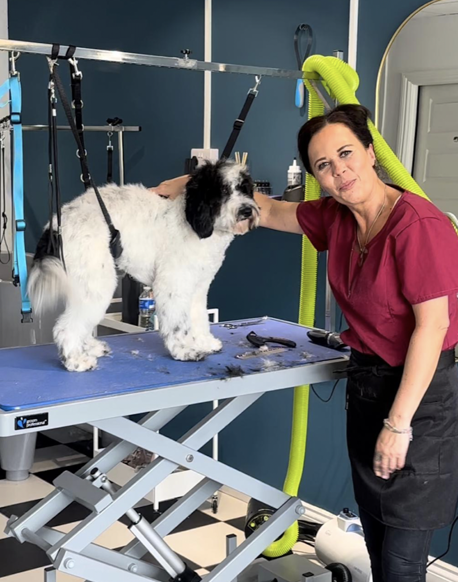 Louise McGrath Paws Palace Dog Grooming salon in Mallusk photo